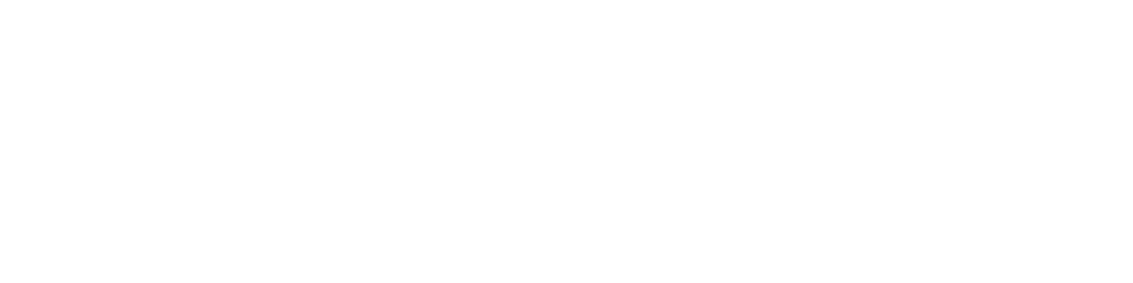 Logo website white (transp)